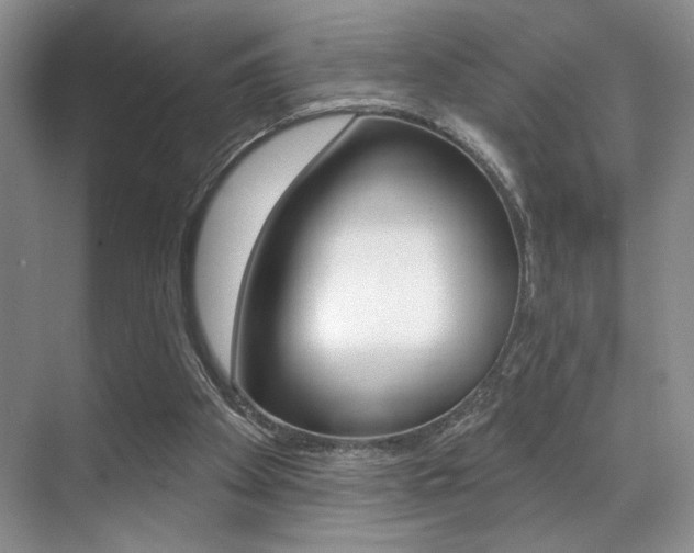 X0000071910105200607070955