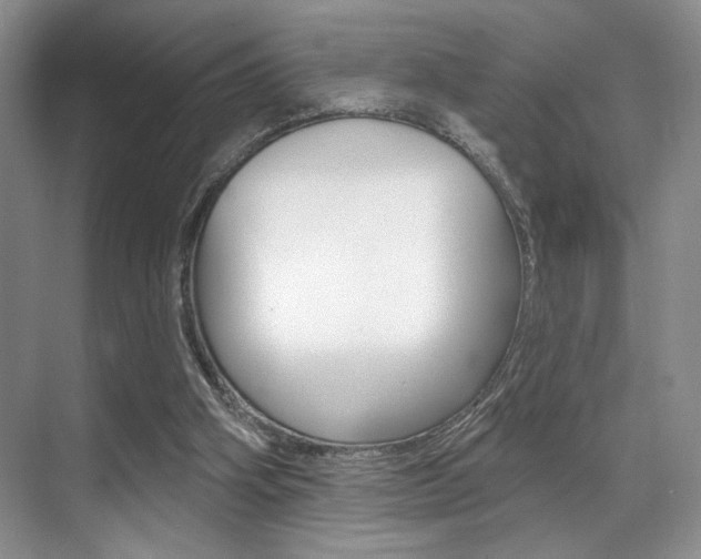 X0000071910106200607070955