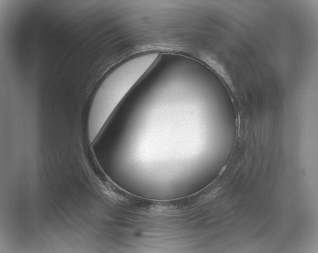 X0000071910109200607070955