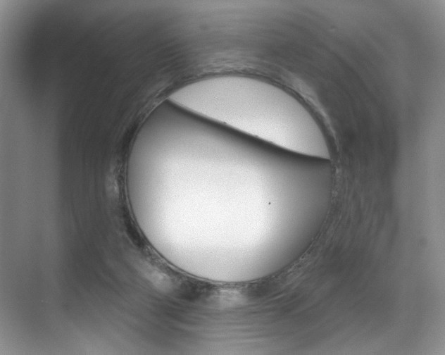 X0000071910114200607070955