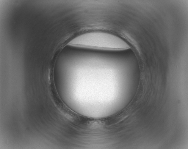 X0000071910115200607070955