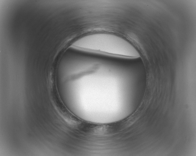 X0000071910116200607070955