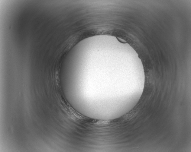 X0000071910138200607070955