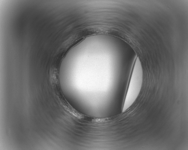 X0000071910141200607070955