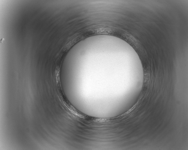 X0000071910142200607070955