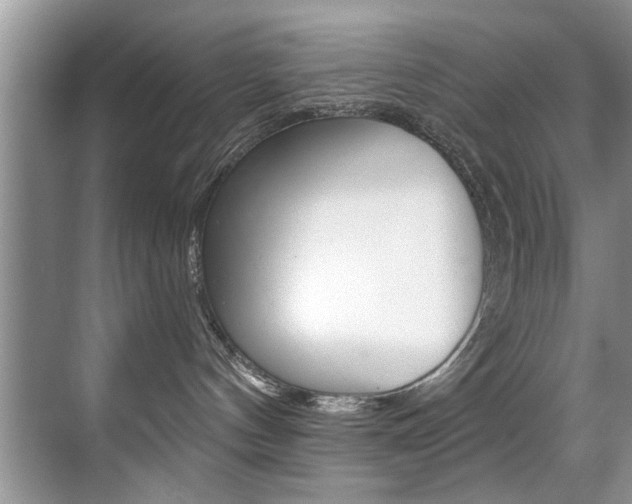 X0000071910144200607070955