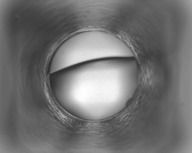 X0000071910145200607070954