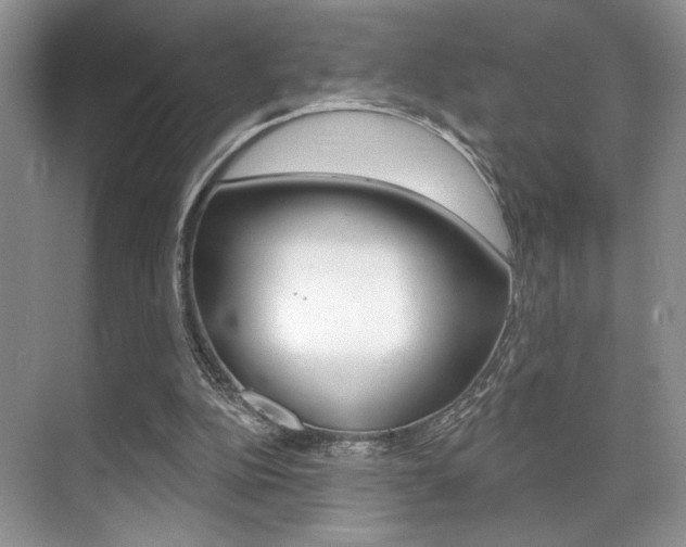 X0000071910152200607070954