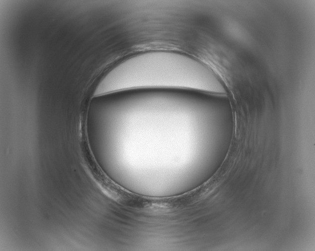 X0000071910157200607070954