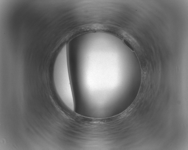 X0000071910158200607070954