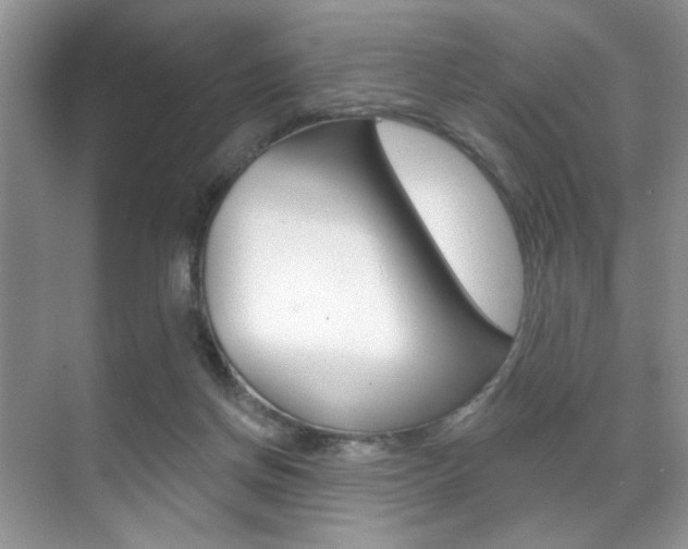 X0000071910166200607070954