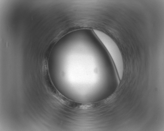 X0000071910172200607070954