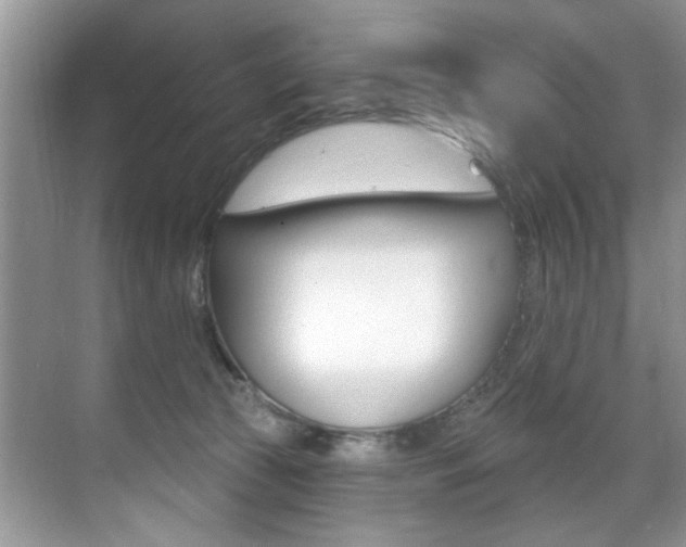 X0000071910177200607070954