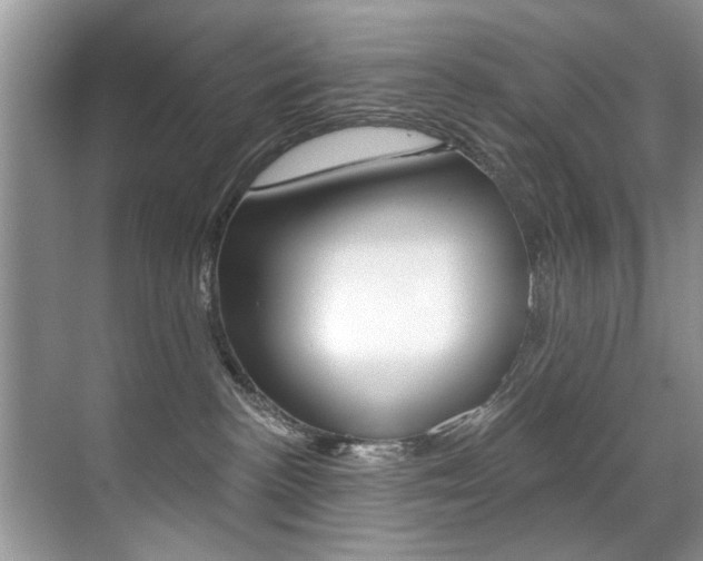 X0000071910188200607070955