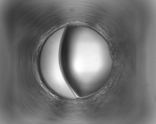 X0000071910193200607070954
