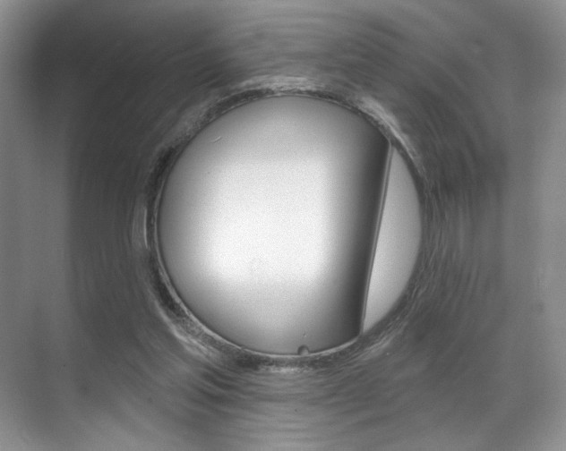 X0000071910205200607070954