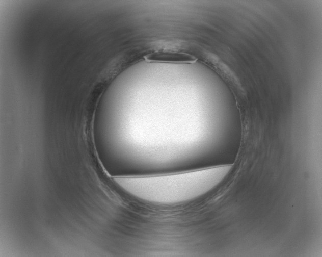 X0000071910209200607070954