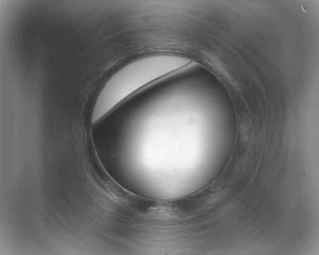 X0000071910211200607070954