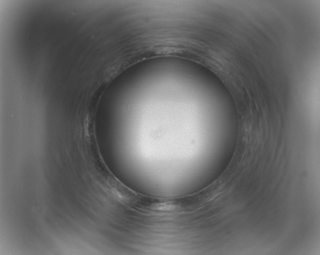 X0000071910219200607070953