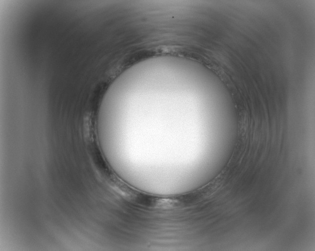 X0000071910222200607070953