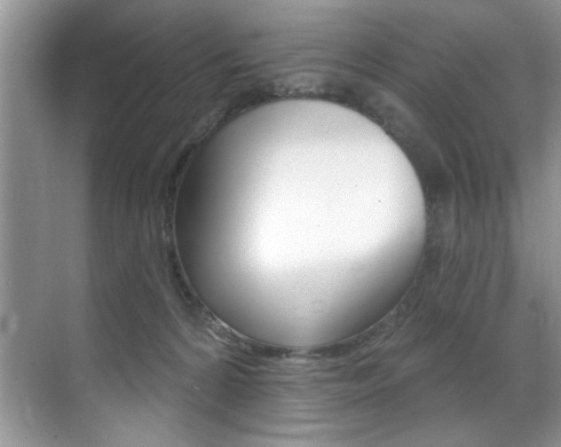 X0000071910224200607070953