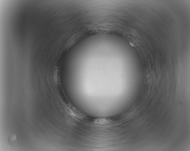 X0000071910231200607070953