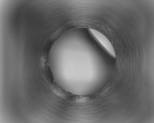 X0000071910235200607070953