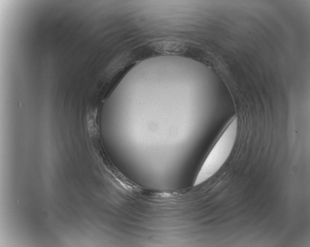 X0000071910239200607070953