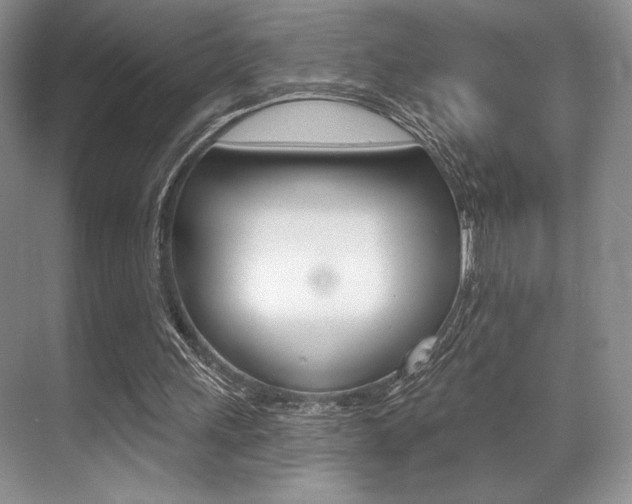 X0000071910243200607070952