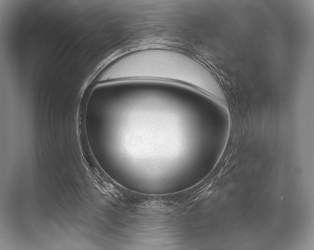 X0000071910244200607070952