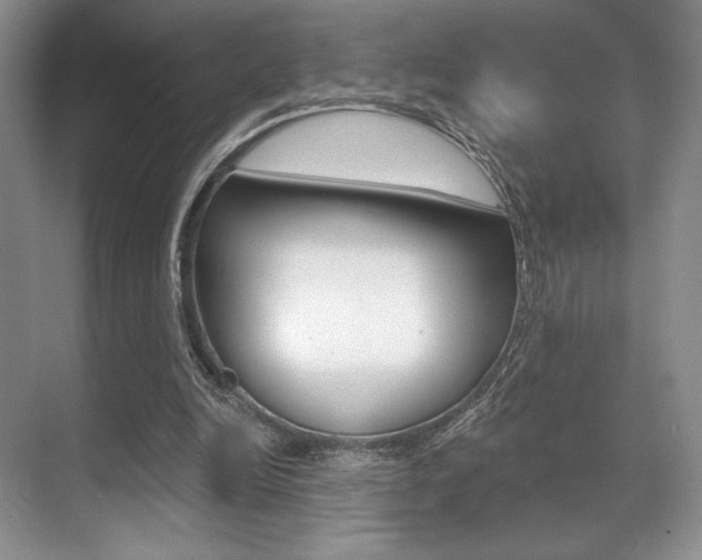 X0000071910246200607070952