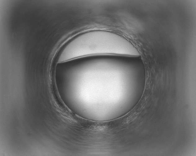X0000071910247200607070952