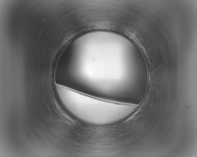 X0000071910249200607070952