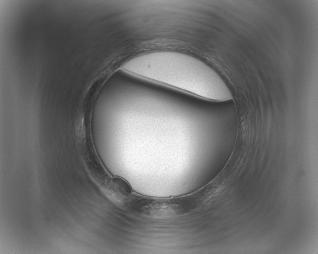 X0000071910254200607070952