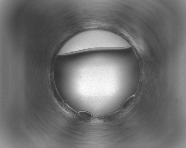 X0000071910257200607070952