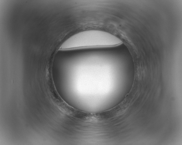 X0000071910259200607070953
