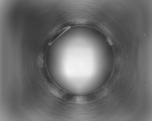 X0000071910264200607070953