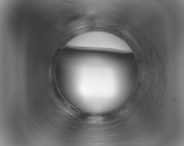 X0000071910266200607070953