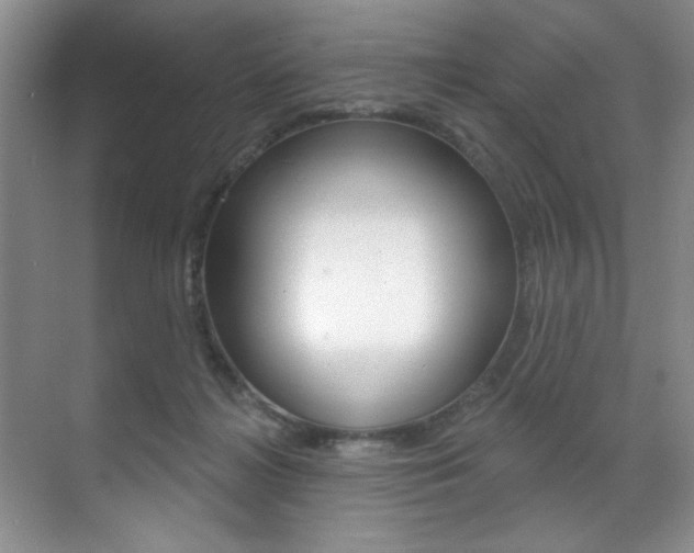 X0000071910268200607070953