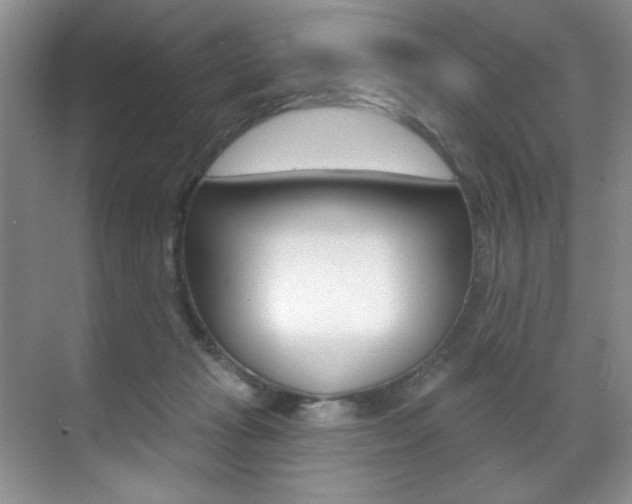 X0000071910269200607070953