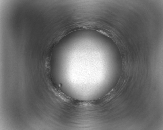 X0000071910284200607070953