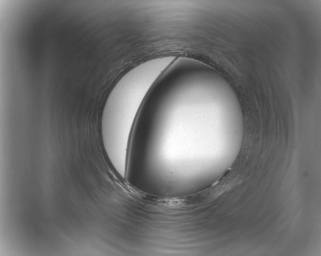 X0000071910288200607070953