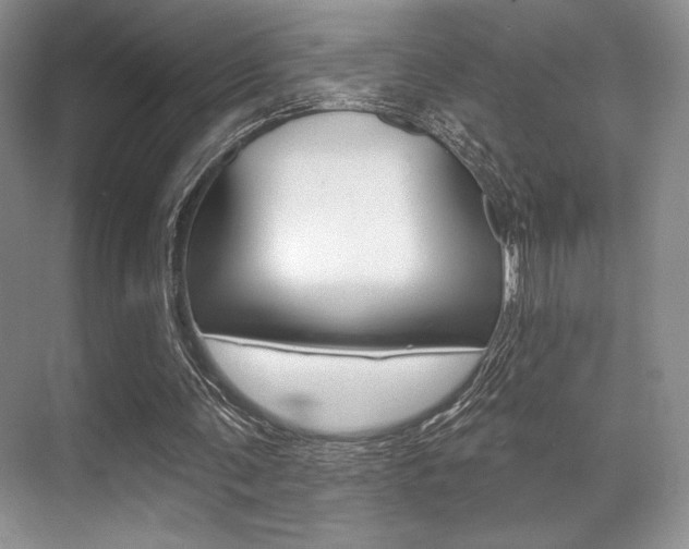 X0000071910291200607070952