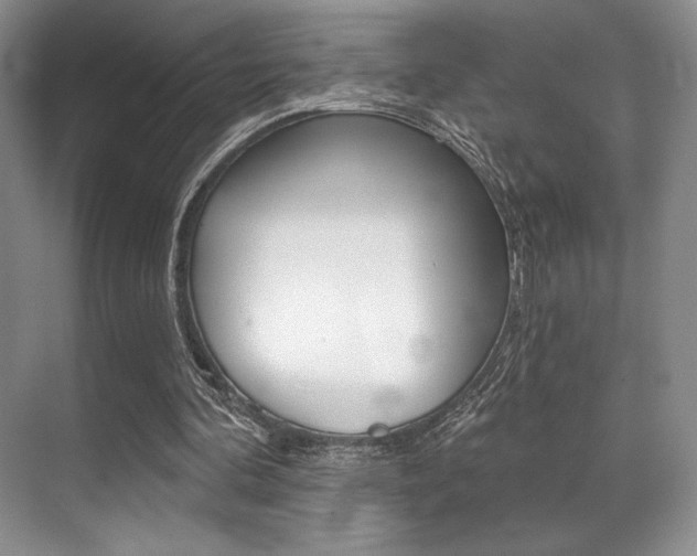 X0000071910292200607070952