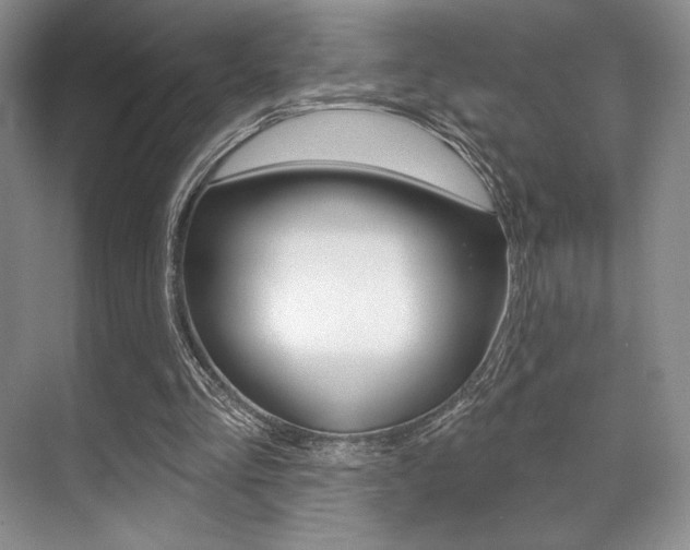 X0000071910293200607070952