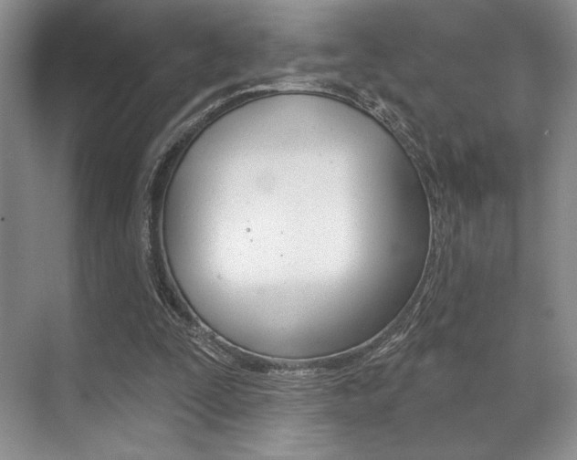 X0000071910295200607070952