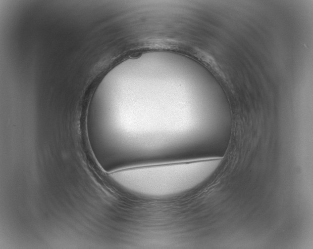 X0000071910299200607070952