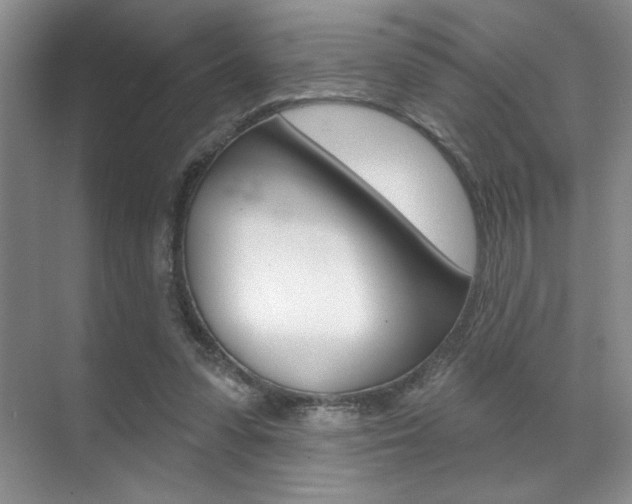 X0000071910303200607070952