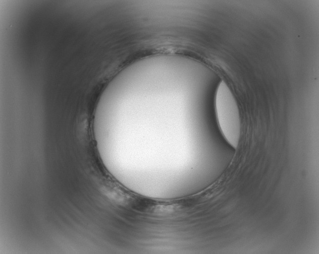 X0000071910314200607070952