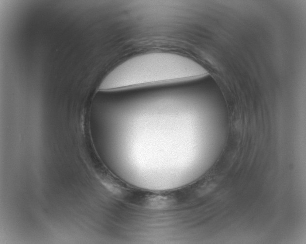 X0000071910315200607070952